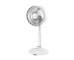 Convection Fan